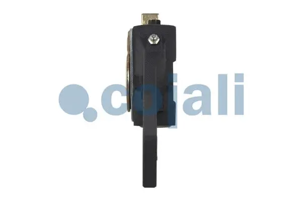 Adjuster, braking system