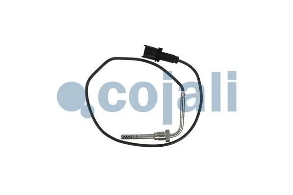 Sensor, exhaust gas temperature (2260900)