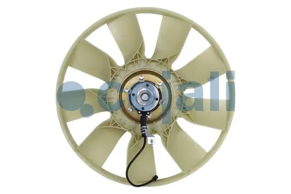 Fan, engine cooling