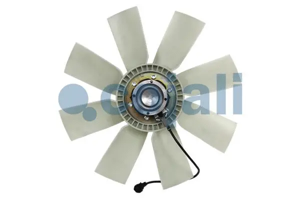 Fan, engine cooling
