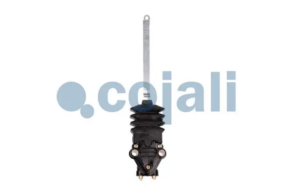 Air Suspension Valve (2214519)