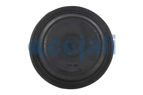 Membrane, spring-loaded cylinder