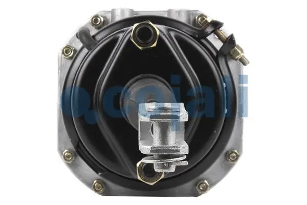 Spring-loaded Cylinder