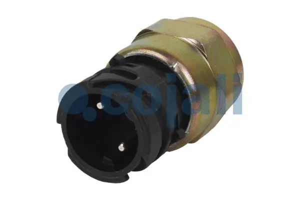 Pressure Switch, brake hydraulics (2260435)
