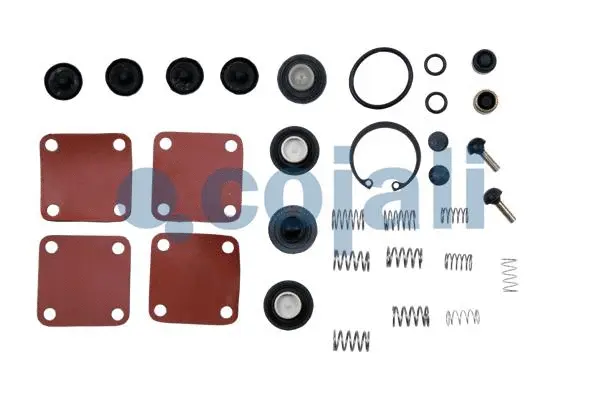 Repair Kit (6012118)