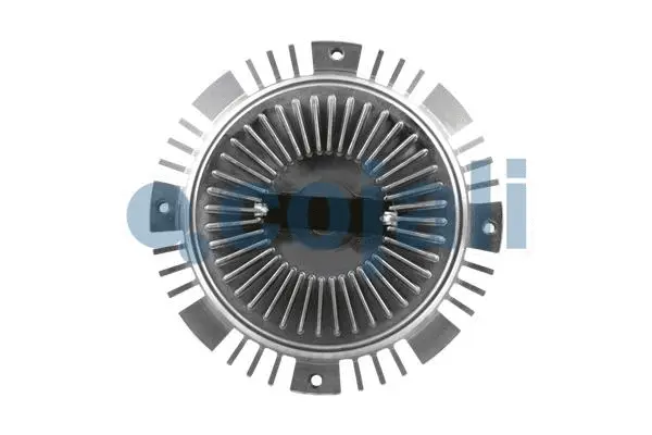 Clutch, radiator fan (8124110)