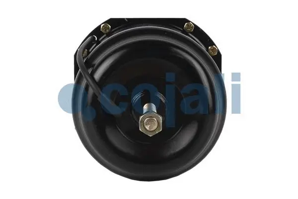 Spring-loaded Cylinder