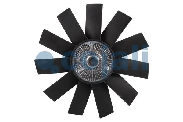 Fan, engine cooling