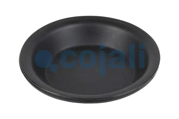 Membrane, spring-loaded cylinder (6001116)