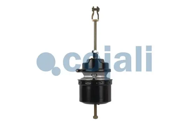 Spring-loaded Cylinder