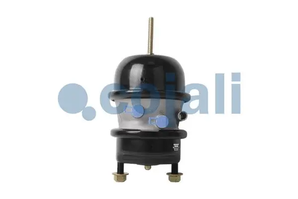 Multi-function Brake Cylinder (2851100)