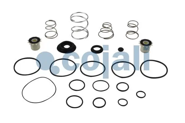Repair Kit, service brake brake valve (6014135)