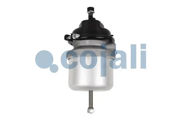 Spring-loaded Cylinder