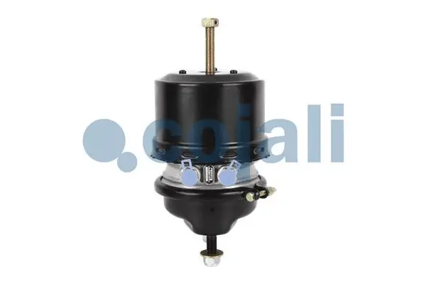 Spring-loaded Cylinder (2351306)