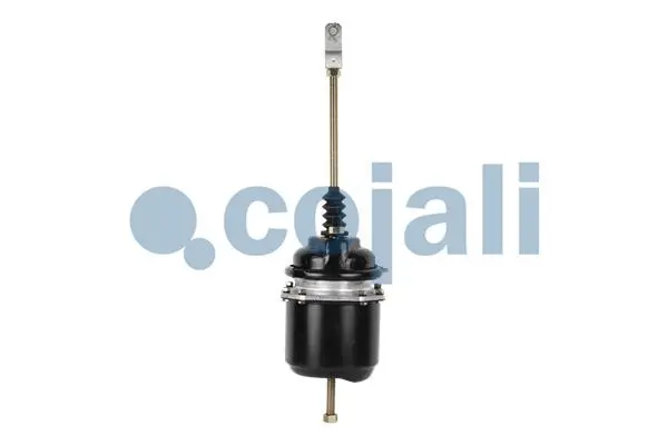 Spring-loaded Cylinder