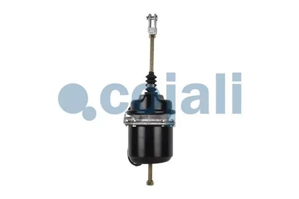 Spring-loaded Cylinder