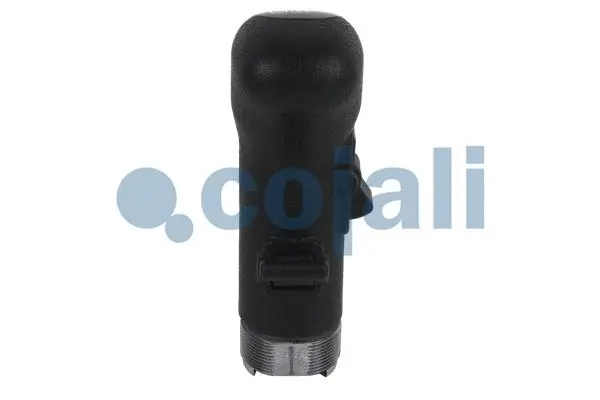 Gear Shift Lever Knob (2880141)