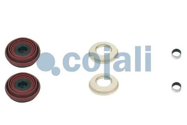 Repair Kit, brake caliper (6084002)