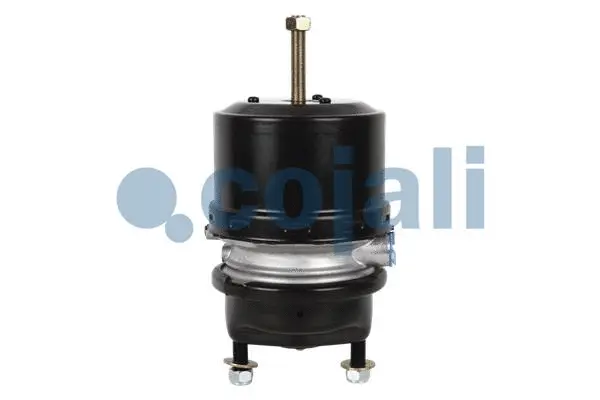 Spring-loaded Cylinder