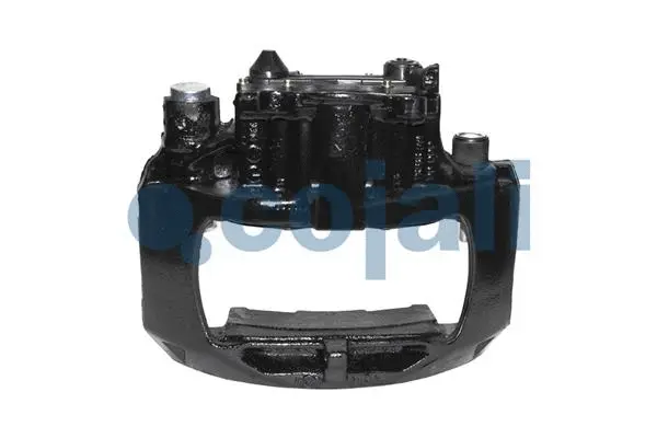 Brake Caliper (359021)