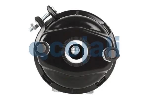 Spring-loaded Cylinder