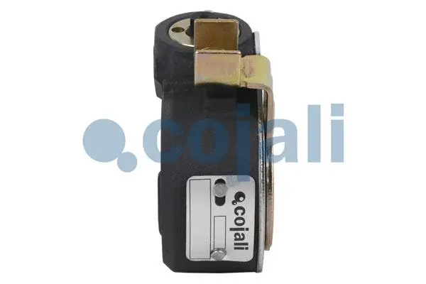 Adjuster, braking system