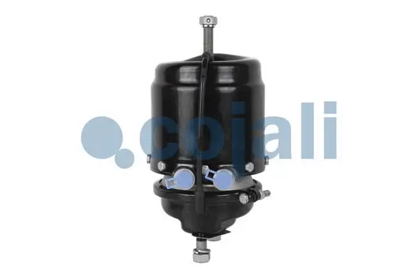 Spring-loaded Cylinder (2251517)