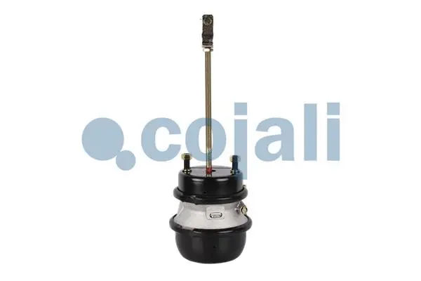 Multi-function Brake Cylinder