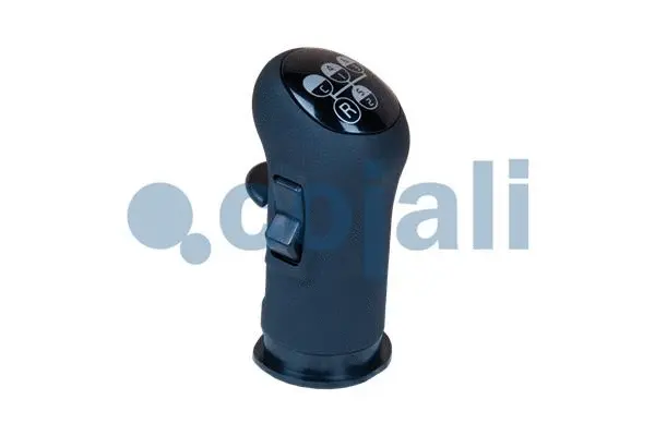 Gear Shift Lever Knob (2880136)