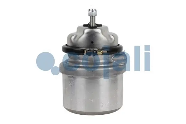 Spring-loaded Cylinder