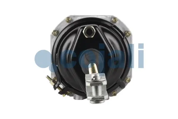 Spring-loaded Cylinder