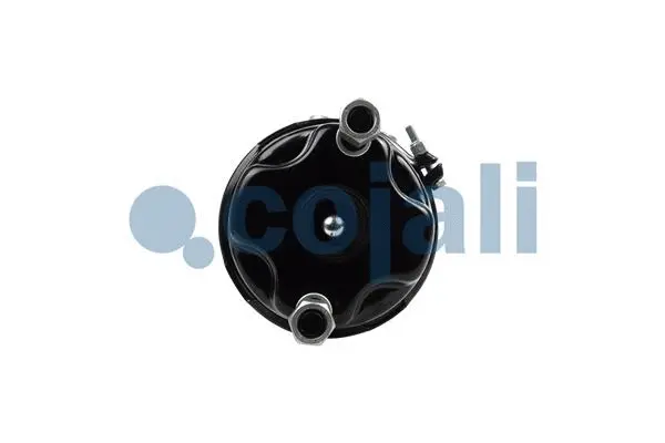 Spring-loaded Cylinder