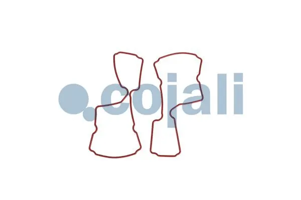 Gasket Set, manual transmission (6012333)