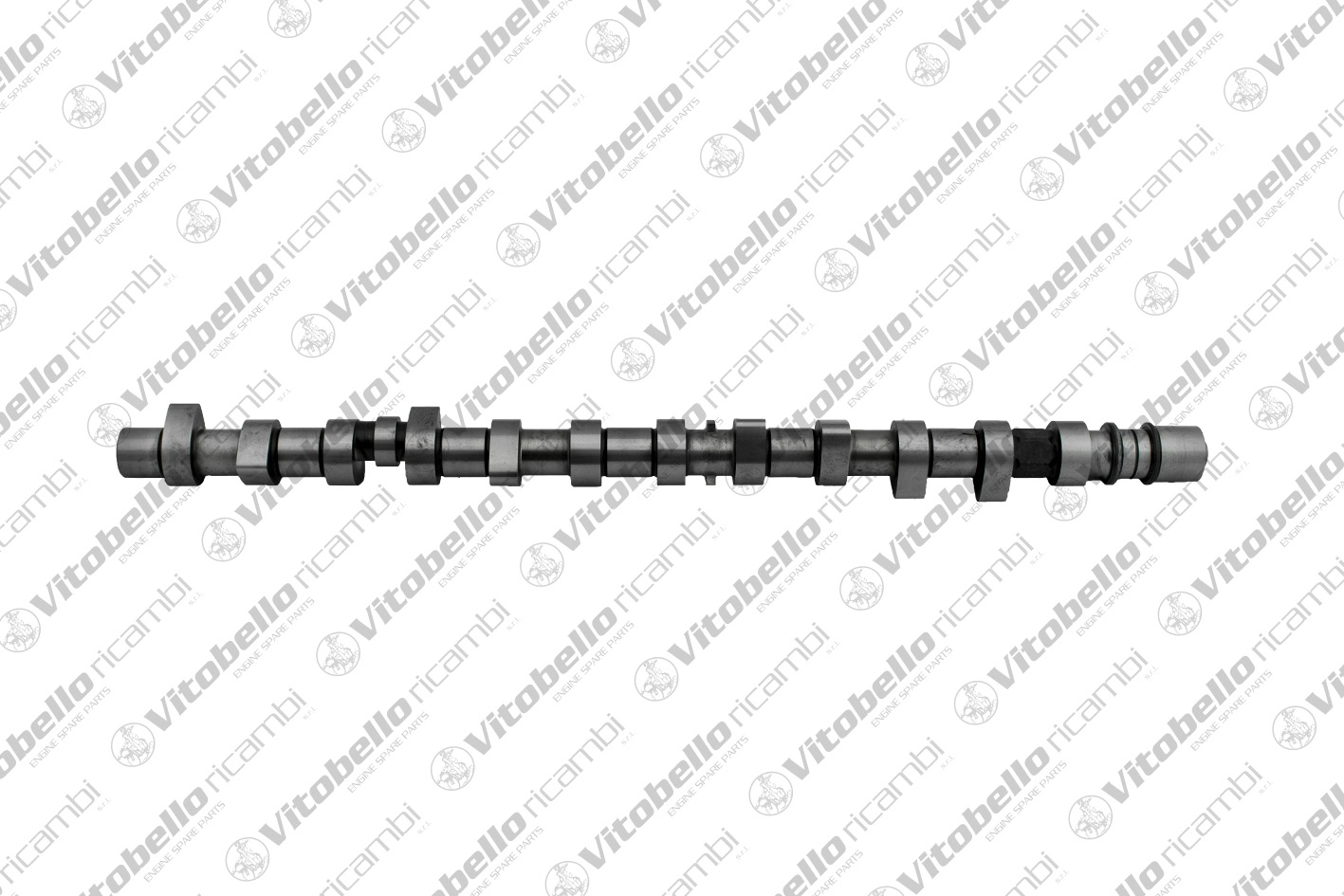 Camshaft (18189N)