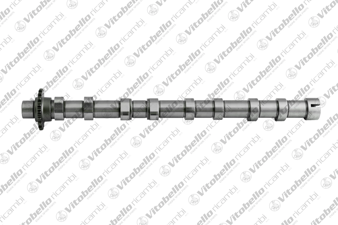 Camshaft (1003303N)