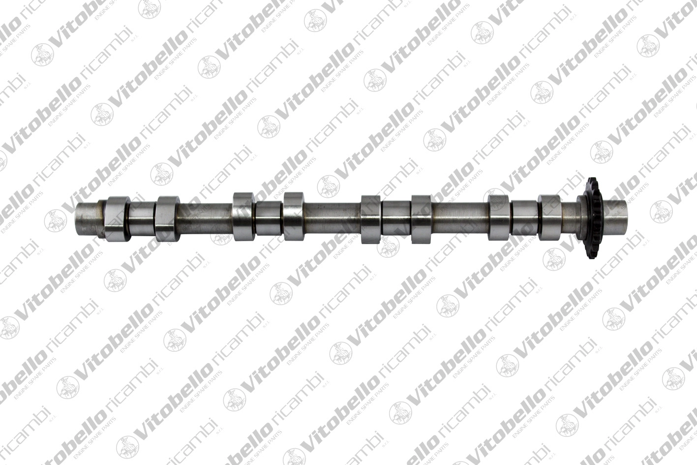 Camshaft (1000914N)