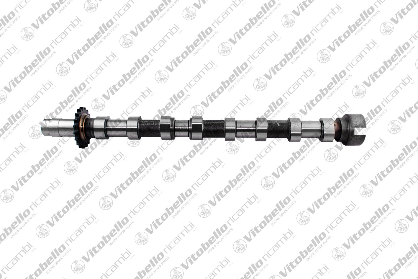 Camshaft (17989N)