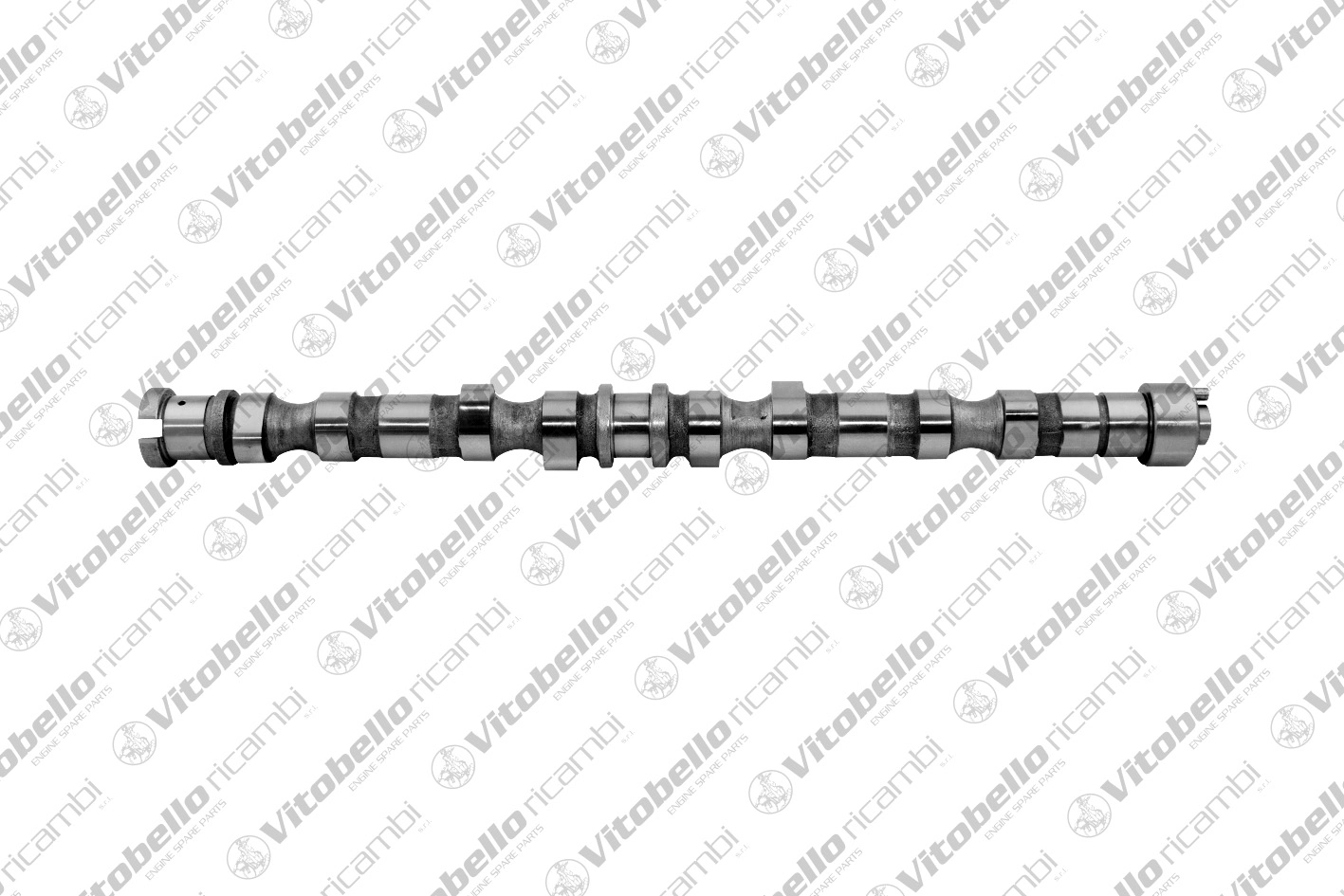 Camshaft (18701N)