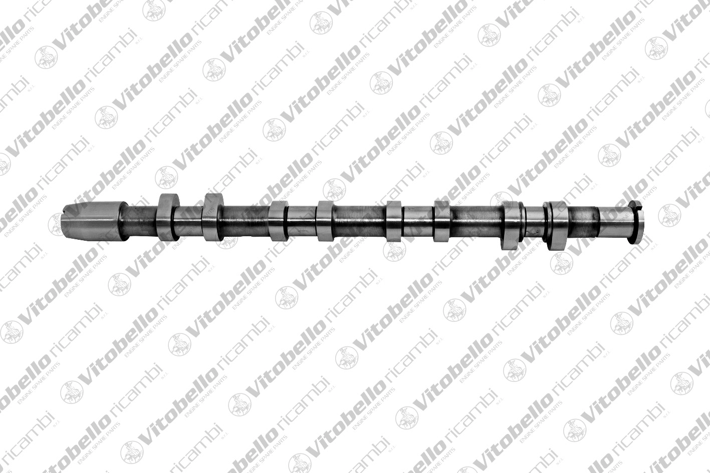 Camshaft (19150N)