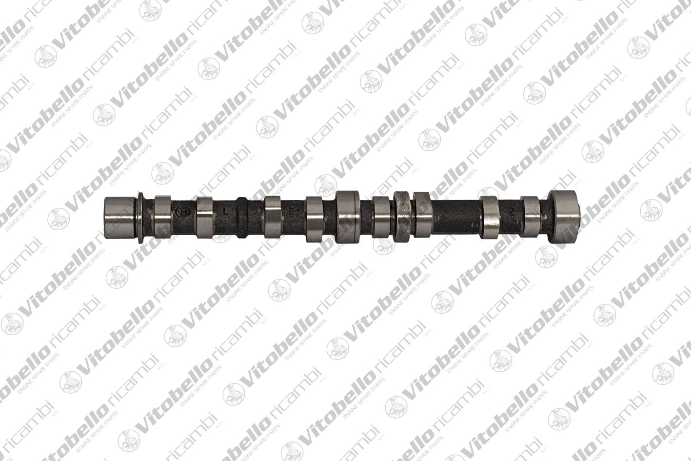 Camshaft (17858N)