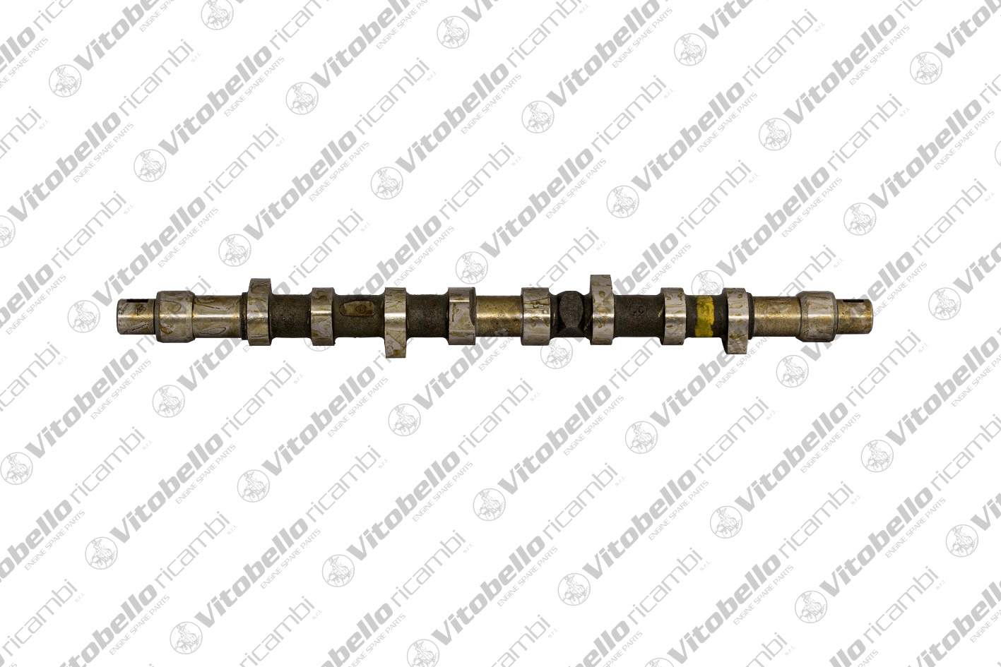 Camshaft (18220N)