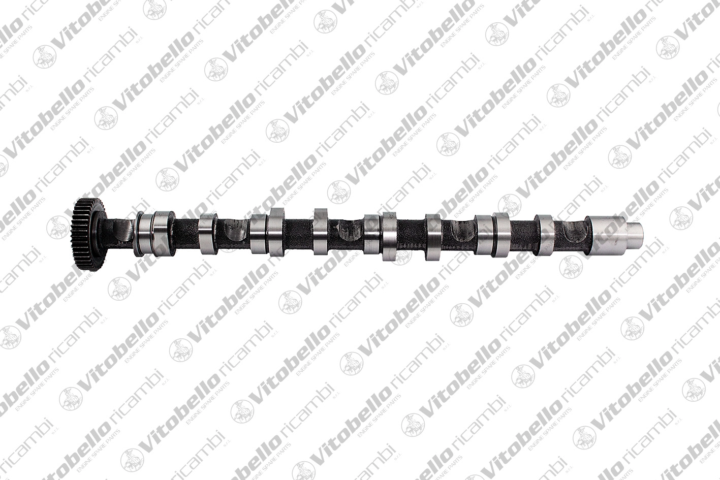 Camshaft (18449N)