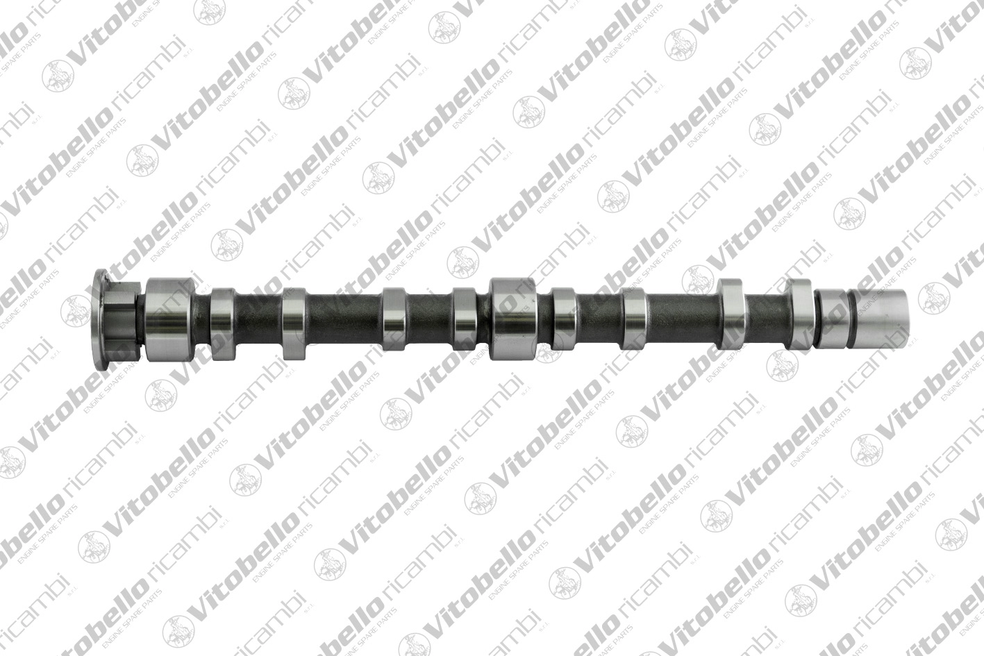 Camshaft (1003368N)