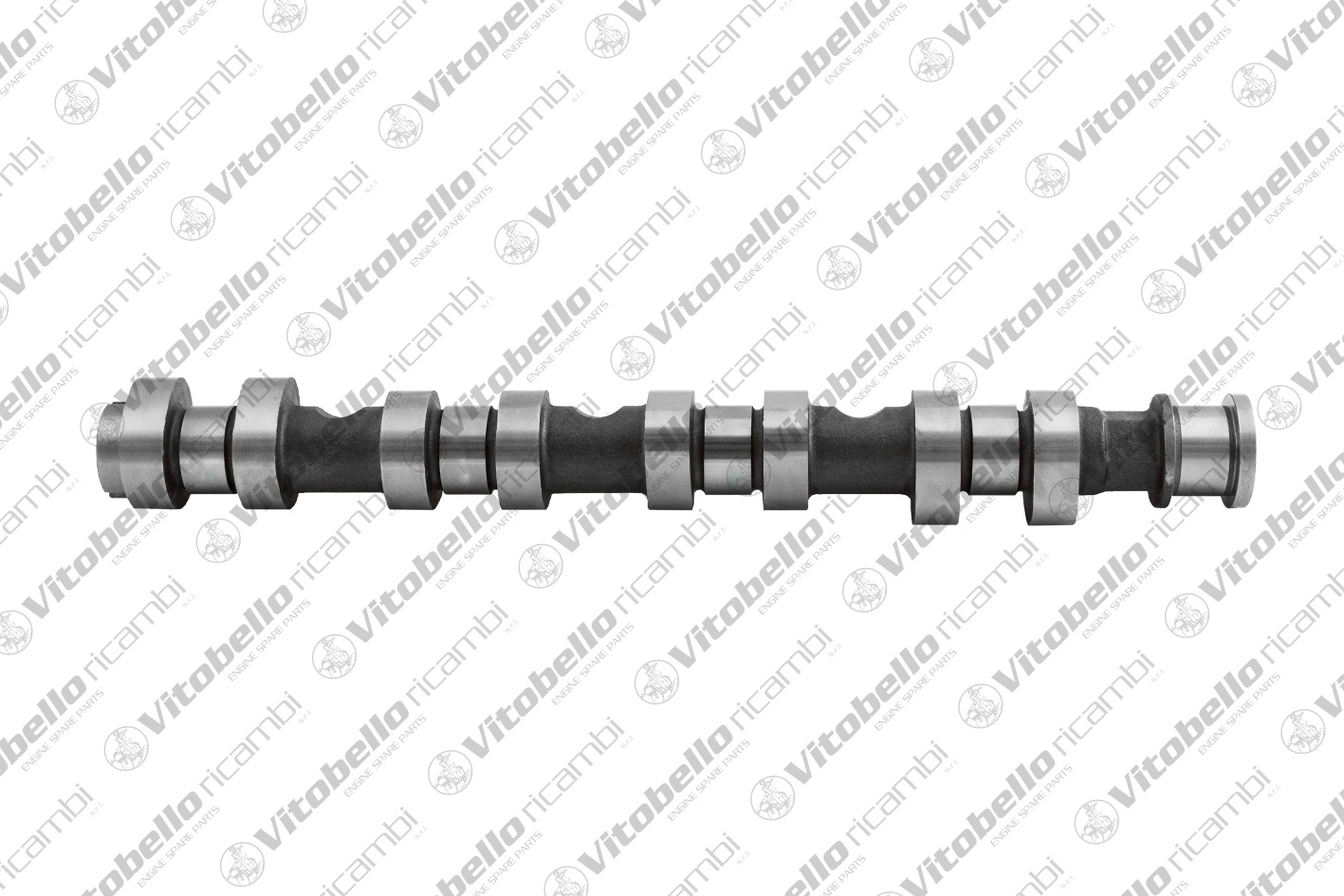 Camshaft (1005497N)