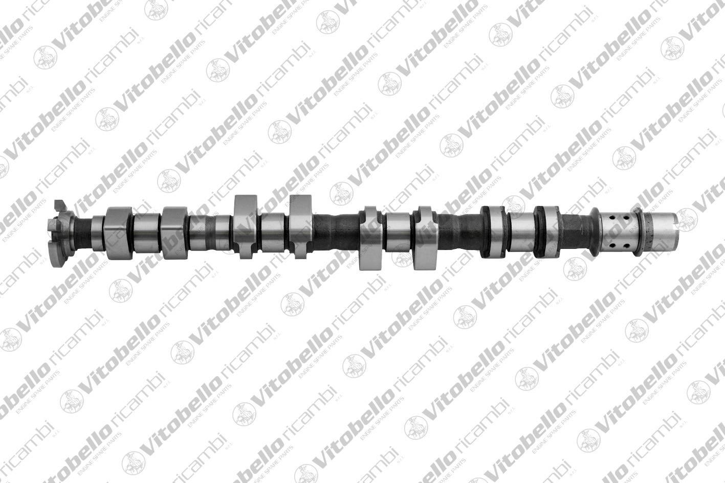 Camshaft (1001380N)