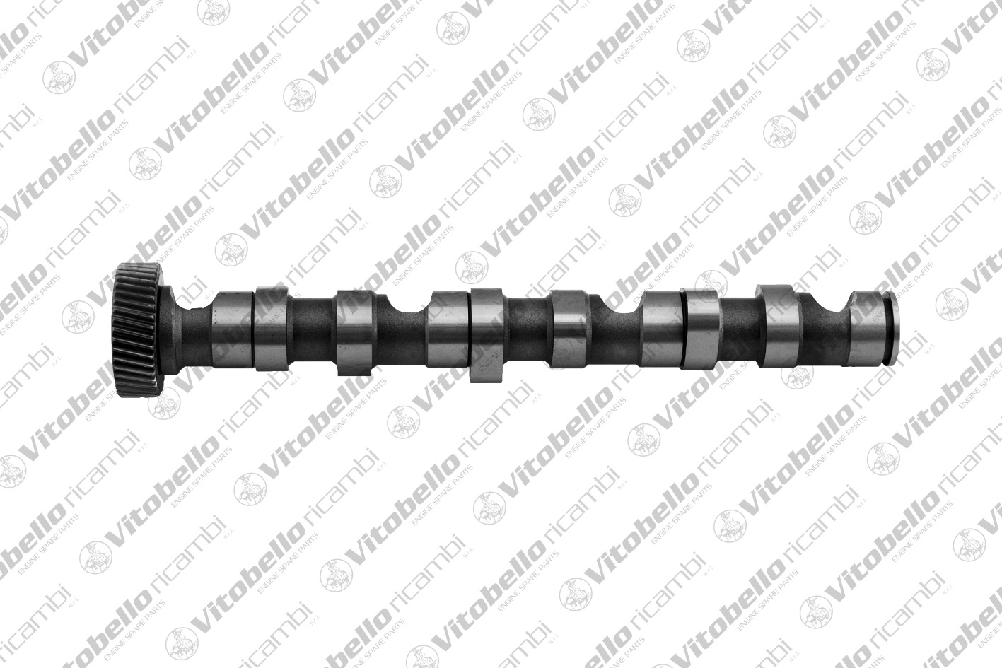Camshaft (1002381N)