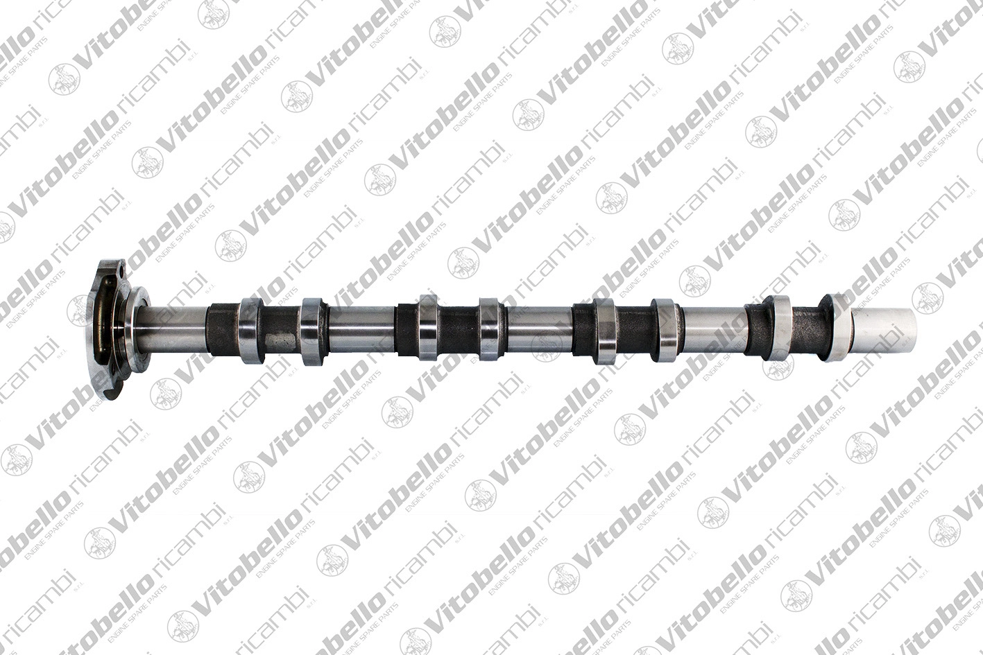 Camshaft (17491N)