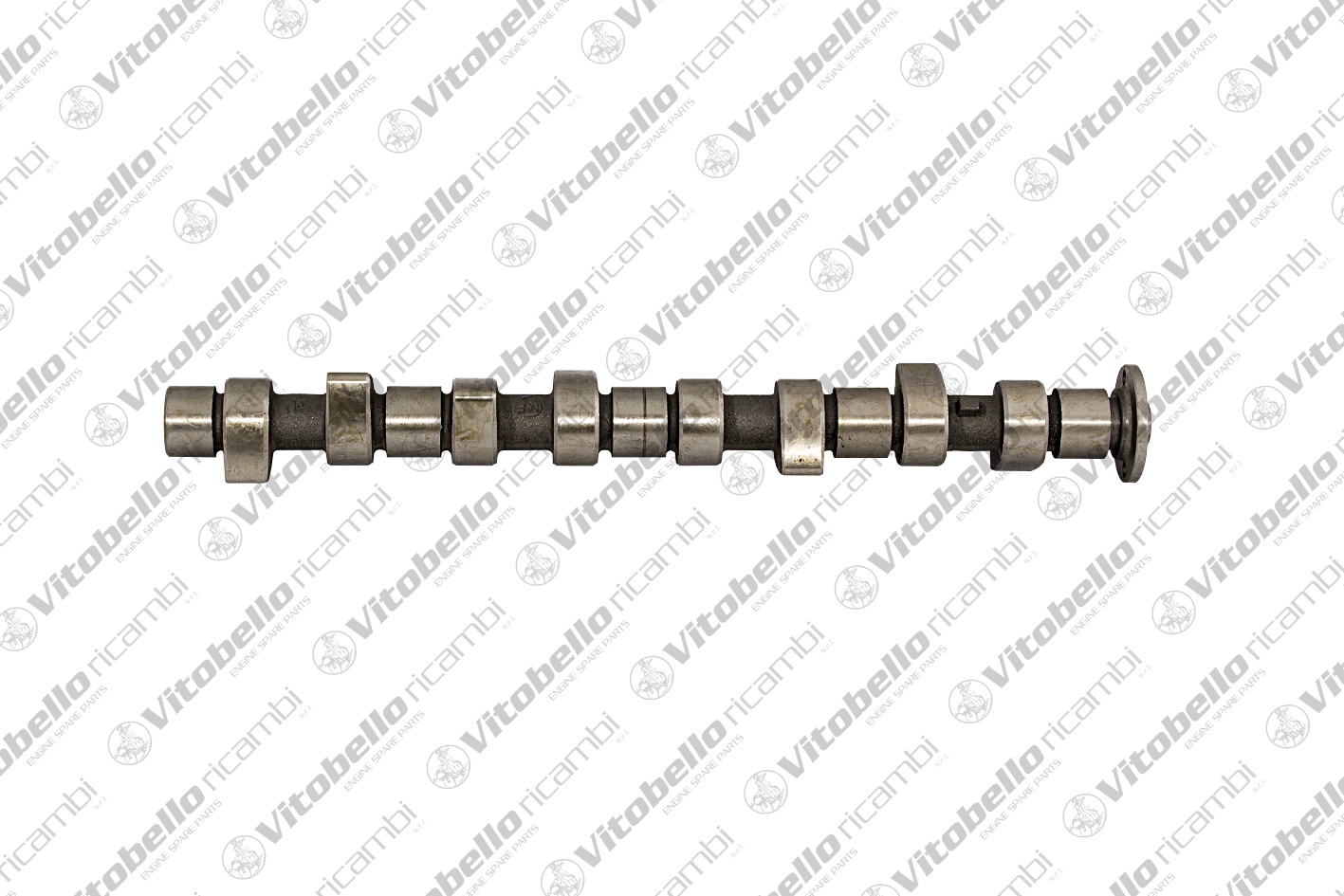 Camshaft (18209N)