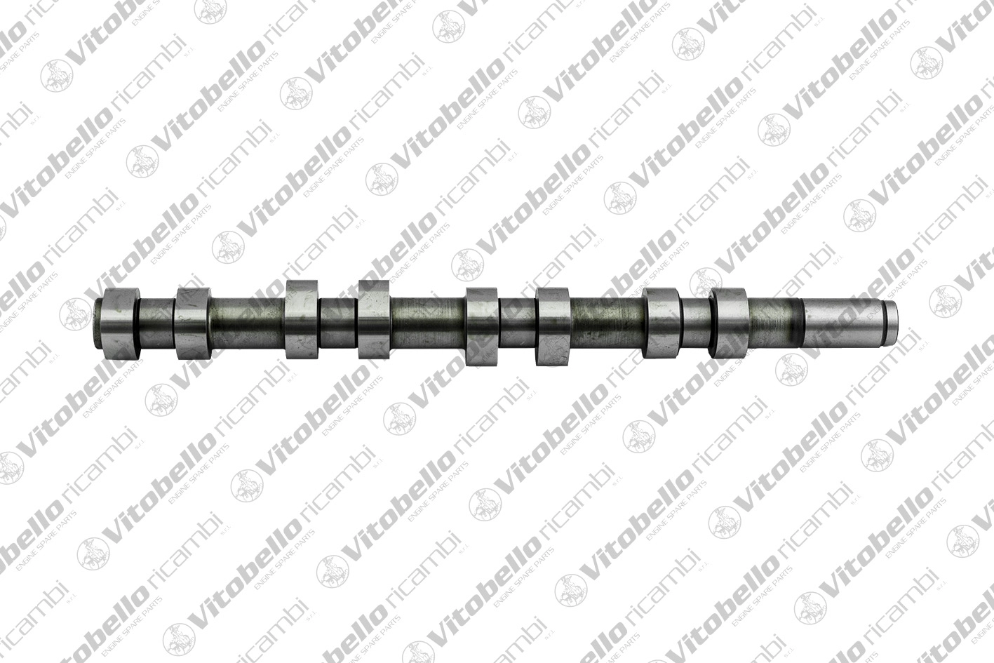 Camshaft (1003229N)