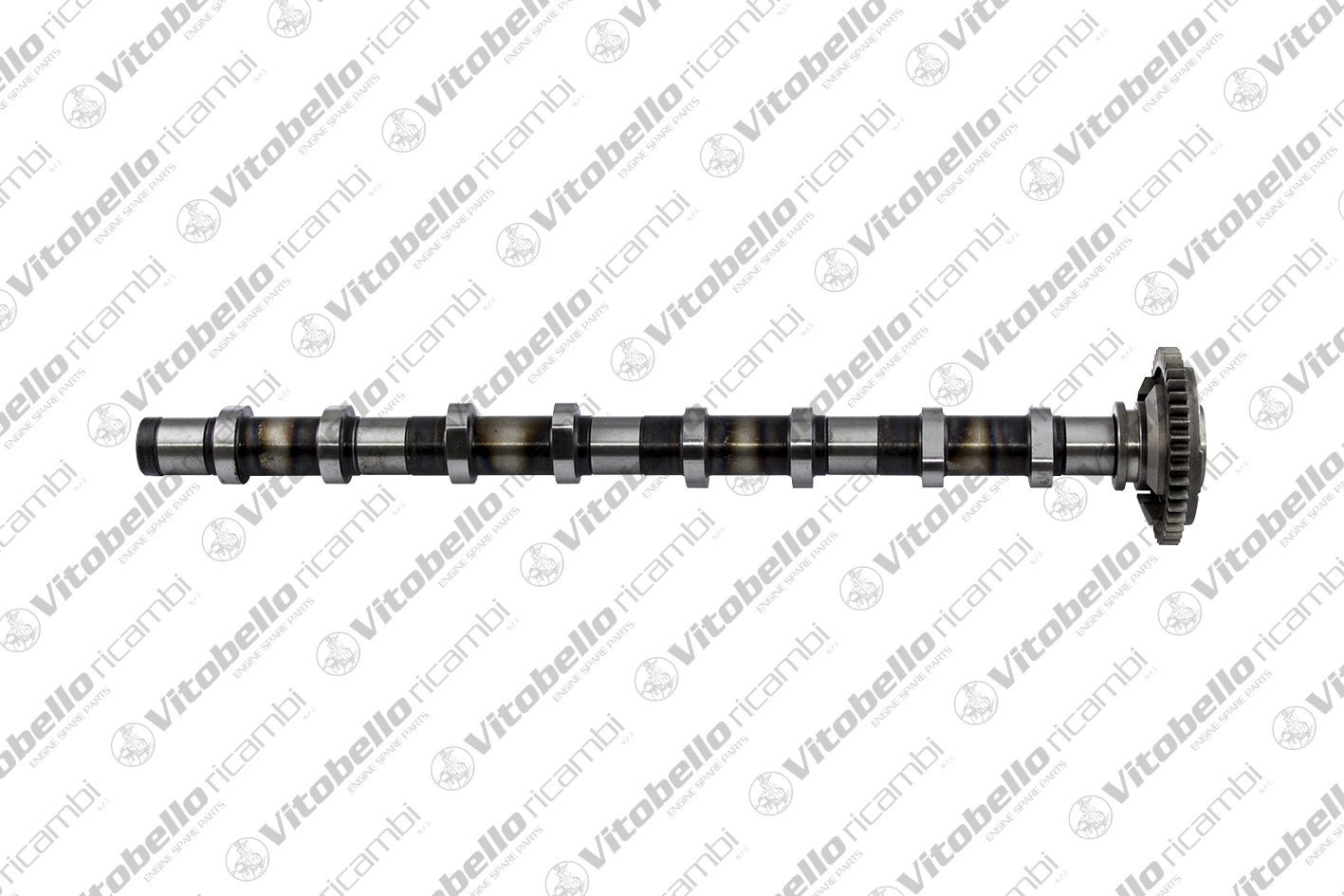 Camshaft (1001737N)